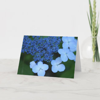 Kort för blåttsnörehälsning