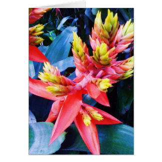 Kort för blomma för exotisk orangegult härligt