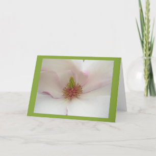 Kort för blommar för vit för Magnoliablommakort