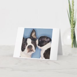 Kort för Boston Terriermors dag