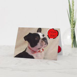 Kort för Boston Terriervalentin