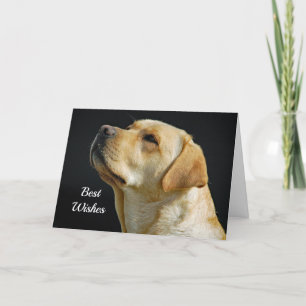 Kort för bröllop för grattis för Labrador