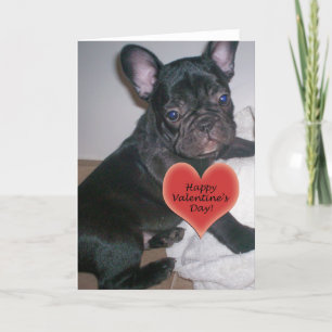 Kort för bulldogg för lyckliga valentin dag