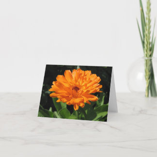 Kort för Calendulablommahälsning