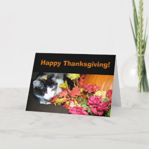 Kort för Calicokatthappy thanksgiving