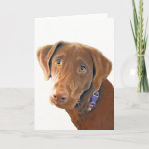 Kort för chokladlabbhälsning, hundkort, retriever