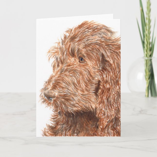 Kort för chokladLabradoodle #2 hälsning (Framsida)