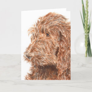 Kort för chokladLabradoodle #2 hälsning