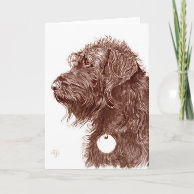 Kort för chokladLabradoodle hälsning (Framsida)