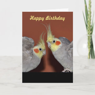 Kort för CockatielDuofödelsedag (skräddarsy
