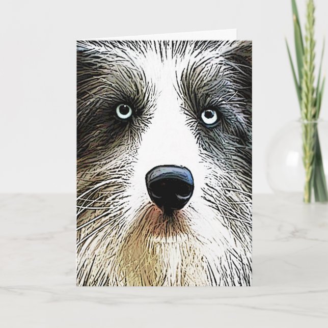 Kort för Colliehundfödelsedag (Framsida)
