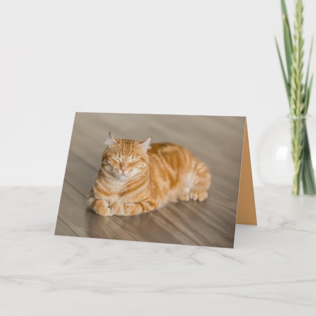 Kort för Cute-Anpassade för orange Kattunge (Framsida)