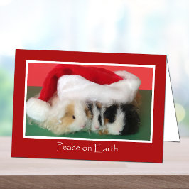 Kort för Cute jul Guinea Gris