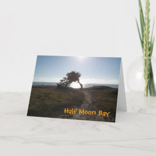 Kort för Cypress träd