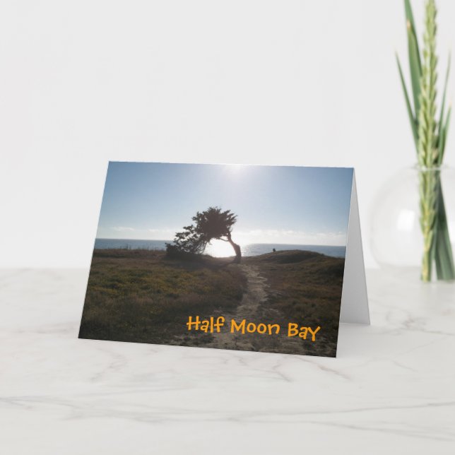 Kort för Cypress träd (Framsida)