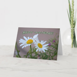 Kort för daisyDuofödelsedag - tom insida