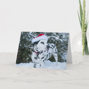 Kort för DalmatianSanta hälsning