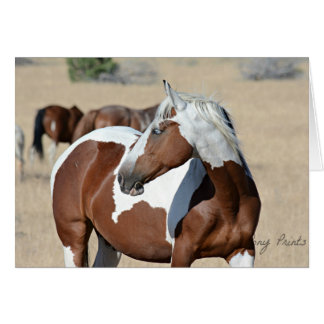 Kort för dam Braveheart