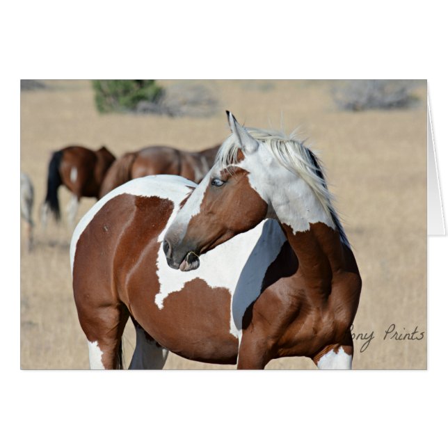 Kort för dam Braveheart (Framsidan Horizontal)