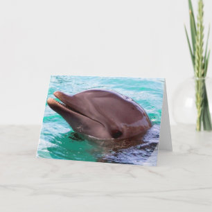 Kort för delfindesignhälsning