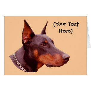 Kort för DobermanPinscherhund