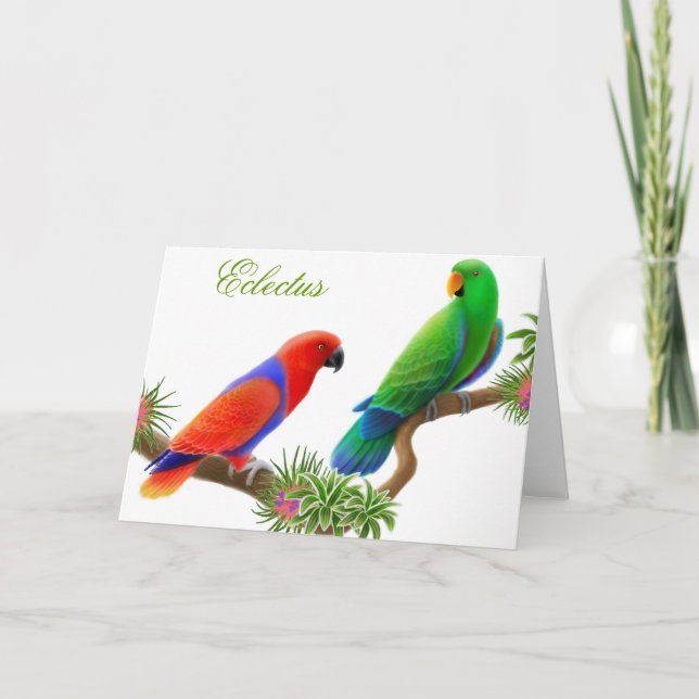 Kort för Eclectus fågelhälsning (Framsida)