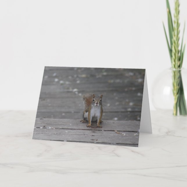 Kort för ekorrering (Framsida)