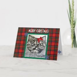 Kort för exotisk katt-God jul med långa köer