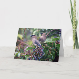 Kort för fågellunchhälsning (tom insida)