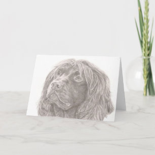 Kort för fältSpanielhälsning
