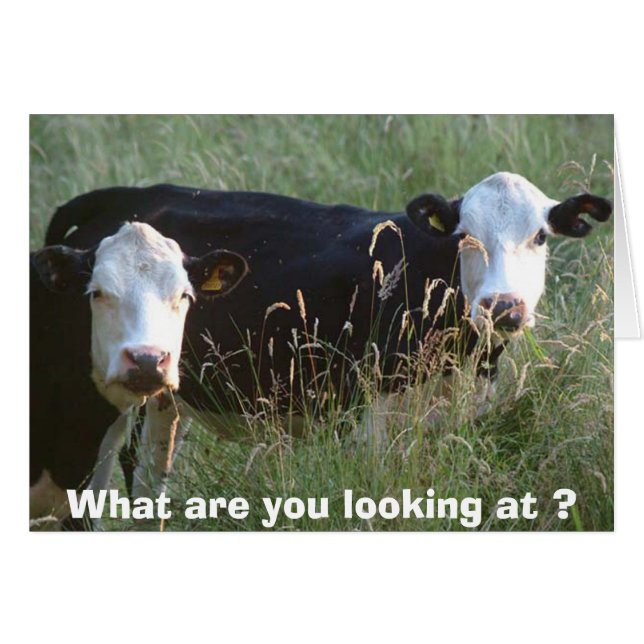 Kort för fånig (Framsidan Horizontal)