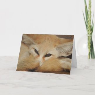 Kort för Fennec rävhälsning