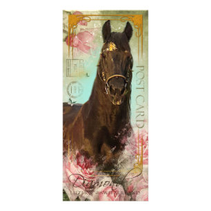 Kort för fläkt för Friesianhingst~