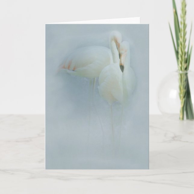 KORT FÖR FLAMINGOFANDANGOHÄLSNING (Framsida)