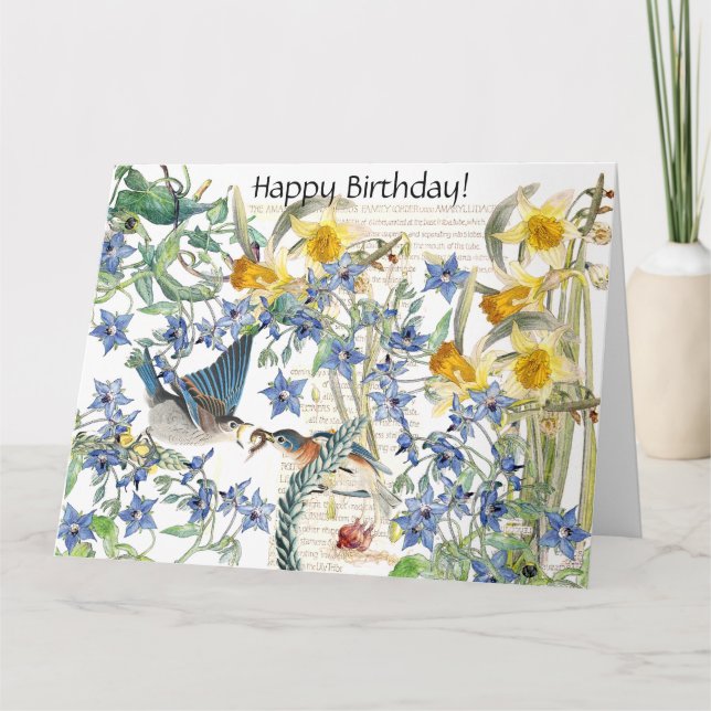 Kort för födelsedag för Audubon blåsångarefågel (Framsida)