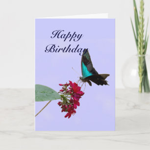 Kort för födelsedag för blåttbergSwallowtail