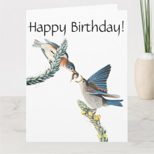Kort för födelsedag för djurliv för Audubon