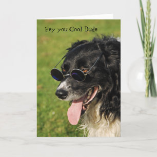 Kort för födelsedag för gränsCollie Yappy