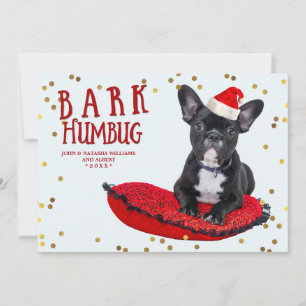 Kort för foto för helgdag för hund älskare för