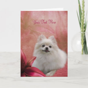 Kort för foto för konst för hund för vitPomeranian