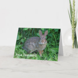 Kort för foto för natur för vildkanin djurt