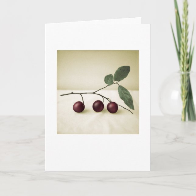 Kort för fotomålning av körsbärsmodeller (Framsida)