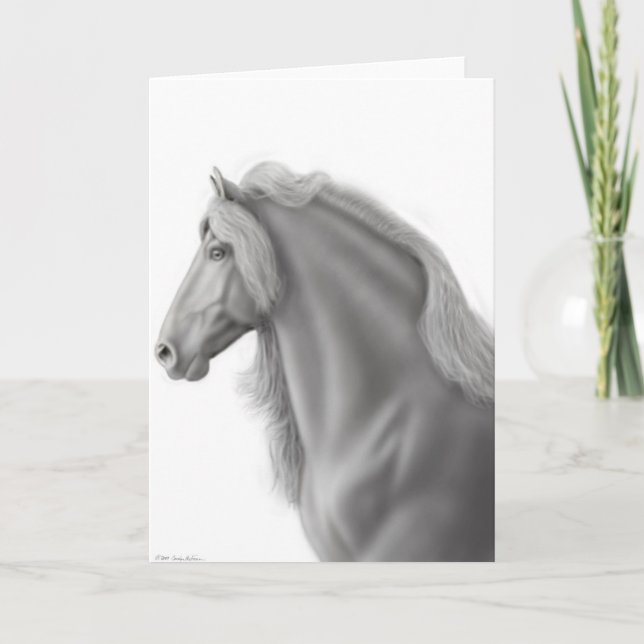 Kort för Friesianhingsthälsning (Framsida)