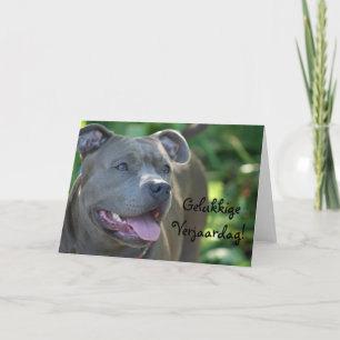 Kort för Gelukkige Verjaardag Pitbull hundhälsning