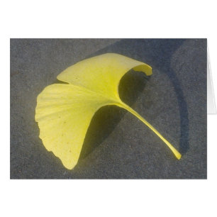 Kort för GinkgoBiloba löv