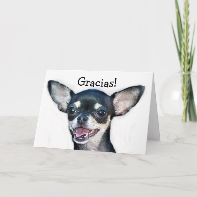 Kort för Gracias Chihuahuahälsning (Framsida)