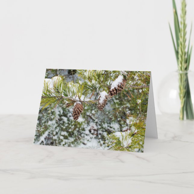 Kort för gräskottehelgdag (Framsida)