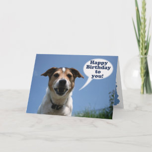 Kort för grattis på födelsedagen för jackRussell