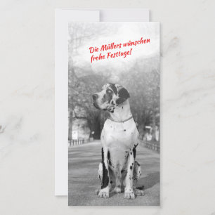 Kort för great danejulfoto