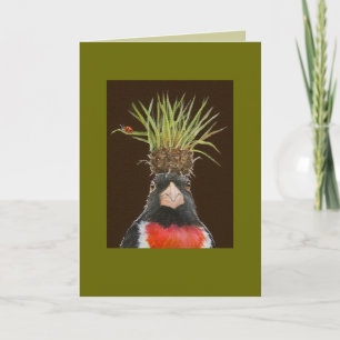Kort för grosbeak-/gräsklumpekar för ro